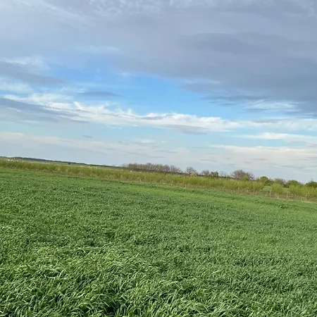 Belgrade Airport Luxury 2