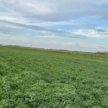 Belgrade Airport Luxury 2 * Surčin