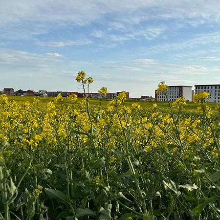 Belgrade Airport Luxury 2