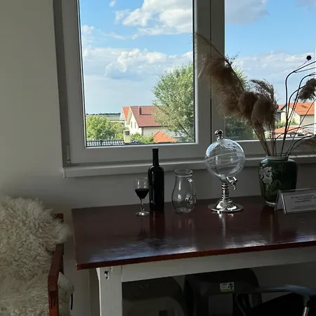 Belgrade Airport Luxury 2 * Surčin